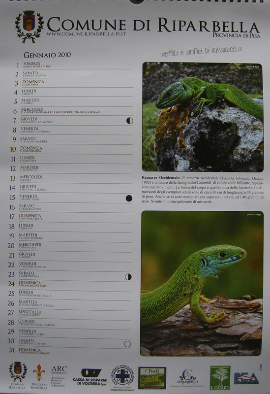 Calendario 2010 del Comune di Riparbella dedicato ai rettili